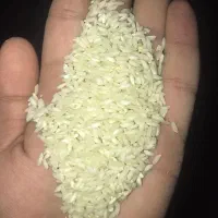 برنج چمپه|خوردنی و آشامیدنی|اصفهان, جاوان|دیوار