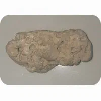 شهاب سنگ قیمتی|کلکسیون اشیاء عتیقه|اندیشه, اندیشه فاز ۱|دیوار