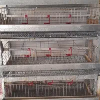 فروش تجهیزات فارم بلدرچین