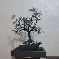 درختچه سیمی