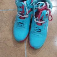 اورجینال اصل