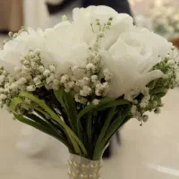 عکاسی از شما