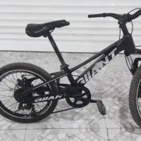 دوچرخه جاینت سایز ۲۰