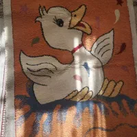 فرش کودک تمیز