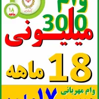 300 میلیون وام