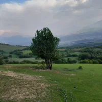 فروش-زمین-کشاورزی