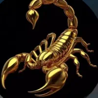 فروش۲۲گرم طلا