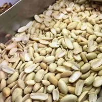 پخش عمده بادام کره گیری و جودو سرپرک دانه چیاوغیره
