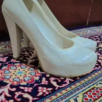 کفش مجلسی|کیف، کفش، کمربند|بیجار, |دیوار