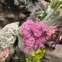 فروش گل شاخه ای یکجا