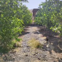 خانه باغ ۳۰۰۰متری ثبتی باامتیازات برق و گاز و فنس|فروش خانه و ویلا|بوکان, |دیوار