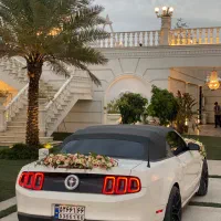 اجاره فورد موستانگ کروک|خدمات پذیرایی، مراسم|رشت, استقامت ۱|دیوار