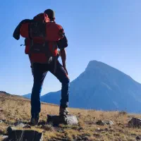 جویای کار هستم