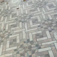 نیازمند ضامن