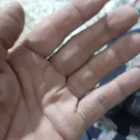 گم شدن کیف ابرار برقی