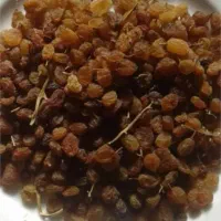 کشمش تیزابی بدون هسته امساله درجه یک