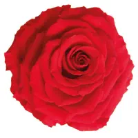 مشاوره در زمینه مالی تحصیلی کاری