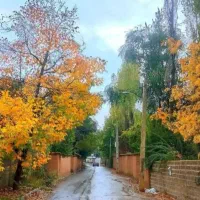 فروش-زمین-مسکونی-طرح-هادی-دالین