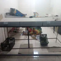 3عددمیزمیوه فروشی بانوپان قوی