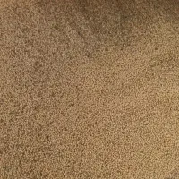 بذر یونجه سبیست همدانی