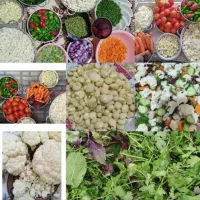 ترشی خونگی تمیز و خوشمزه به شرط تست|خوردنی و آشامیدنی|اسلام‌شهر, شهرک الهیه|دیوار