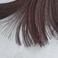 نخ ابریشم کفاشی|لوازم خیاطی و بافتنی|پردیس, فاز ۳|دیوار