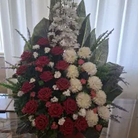 ۳ عددگل زیبا