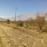 باغ گردو ومیوه پل چهر روبروی باربری نوروزی|فروش دفتر صنعتی، کشاورزی، تجاری|بیستون, |دیوار