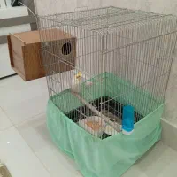 قفس پرنده|لوازم جانبی حیوانات|سبزوار, کلاته سیفر|دیوار