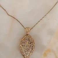 پلاک و زنجیر