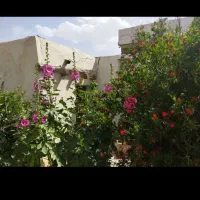 زمین-نرسیده-به-دیش-دیش-350میلون-4هزارو150متر