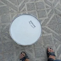 دوهول