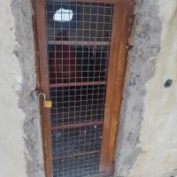 در گنجه