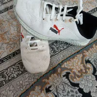 سه جفت کفش اسپرت ونیم پوت ومجلسی چرمی سایز ۴۲ و۴۳|کیف، کفش، کمربند|مشهد, نظام دوست|دیوار