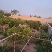 باغ|فروش زمین و ملک کلنگی|جنت, |دیوار