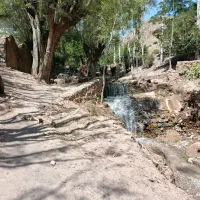 فروش زمین باغی شهمیرزاد