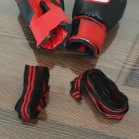 کیسه بوکس با دستکش|تجهیزات ورزشی|مشهد, کوشش|دیوار