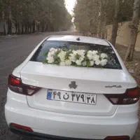 اجاره ماشین عروس شاهین|گل و گیاه طبیعی|فردیس, شهرک راه آهن|دیوار