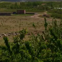 فروش-زمین