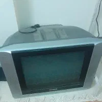 تلوزیون