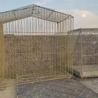 تعدادی قفس پرنده|لوازم جانبی حیوانات|اصفهان, کوجان|دیوار