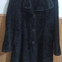 دو عدد پالتو