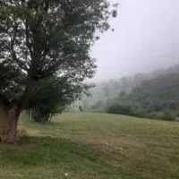 زمین مزروعی گیلان رودبار ییلاق دارستان لاچوب