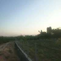 باغ. زمین. کلاته نقی.