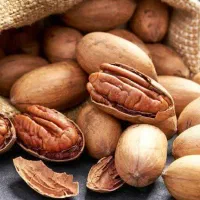 فروش درخت گردو پکان بذری