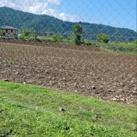 14000متر زمین مسکونی باغی بابر200متر لیسار تالش