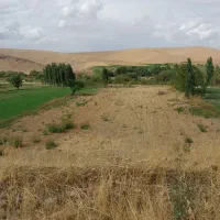 فروش-زمین-مسکونی-دانشگاه-ازاد
