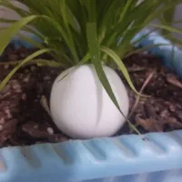 سنگ الماس اسیاب