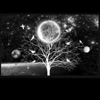 مشهد گردی همه جا