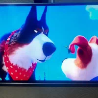 تلوزیون ال ای دی LG ۵۵ با کیفیت تصویر 4k
